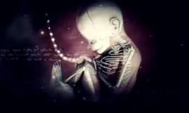 Lần đầu tiên sự sống và cái chết được Phật giáo lý giải thông qua bộ phim tài liệu