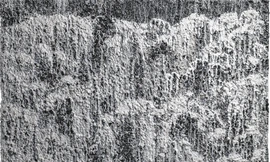 Chiêm ngưỡng bức tranh bằng than đá, bột gạo vừa giành giải thưởng 500 triệu đồng