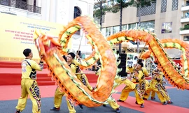 Chiêm ngưỡng màn múa Lân-Sư-Rồng TPHCM vừa vào danh mục di sản văn hoá phi vật thể quốc gia