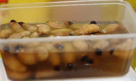 Món ăn bị cấm nhưng vẫn được đưa vào liên hoan 'Món ngon các nước'