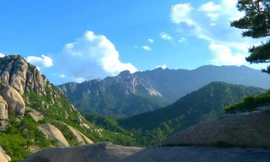 Cuộc đua kỳ thú Việt Nam lần đầu tiên diễn ra tại Triều Tiên 