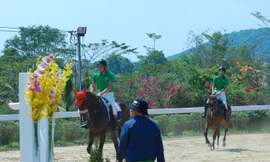 Ra mắt CLB Cưỡi ngựa Olympic