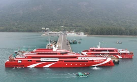 Tuyến tàu cao tốc Vũng Tàu - Côn Đảo chạy lại sau 5 tháng