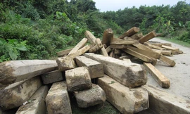 Tan hoang rừng đầu nguồn biên giới