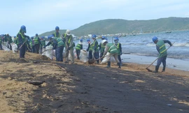 Huy động thợ lặn truy dầu lan bí ẩn ở Bình Định