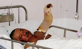 Nhìn lại vụ án nhà báo Hoàng Hùng bị sát hại