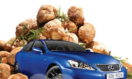 Khu vườn bí mật