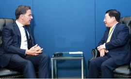 Phó Thủ tướng Phạm Bình Minh trong cuộc hội kiến Thủ tướng Hà Lan Mark Rutte. (Ảnh: VGP)