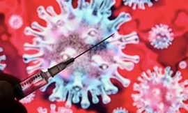 Kháng thể mới có thể vô hiệu hoá biến chủng Omicron