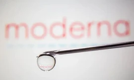 Sau thành công với vắc xin COVID-19, Moderna chuyển sang tập trung nghiên cứu vắc xin ung thư
