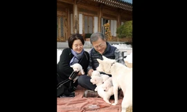 Vợ chồng cựu Tổng thống Hàn Quốc Moon Jae-in chơi với những chú chó con được cặp chó từ Triều Tiên sinh ra