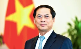 Bộ trưởng Ngoại giao Bùi Thanh Sơn