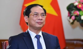 Bộ trưởng Ngoại giao Bùi Thanh Sơn. (Ảnh: Mofa)