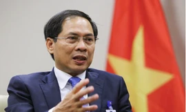 Bộ trưởng Ngoại giao Bùi Thanh Sơn. (Ảnh: VOV)