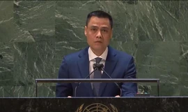 Đại sứ Việt Nam tại Liên Hợp quốc Đặng Hoàng Giang. (Ảnh: Mofa)