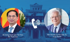 Bộ trưởng Ngoại giao Bùi Thanh Sơn trao đổi với Phó Chủ tịch EC Josep Borrell. (Ảnh: Mofa)