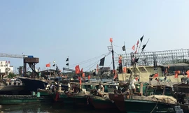 Đội tàu cá Trung Quốc ở đảo Hải Nam tháng 4/2016. (Ảnh: Reuters)