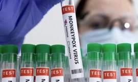 WHO chưa khuyến cáo tiêm vắc xin phòng bệnh đậu mùa khỉ cho tất cả các nhóm dân số