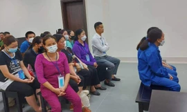 Ba ngân hàng bị cựu giáo viên tiểu học và đồng bọn 'qua mặt' hàng chục hồ sơ vay vốn giả