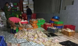 Kinh hoàng, thu mua gà thối để bán cho xưởng giò chả, chà bông 