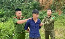 Cướp taxi nhưng không biết lái, liền bị công an bắt giữ 