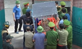 Phạt 7 năm tù đối tượng nuôi nhốt 14 con hổ trong hầm nhà