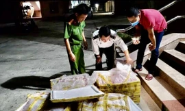 Phát hiện lượng lớn nội tạng, nầm lợn không rõ nguồn gốc trên xe khách