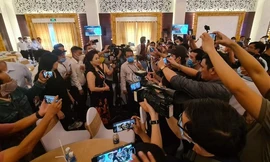 Xem xét vai trò đội ngũ 'hậu cần' giúp bà Nguyễn Phương Hằng livestream 