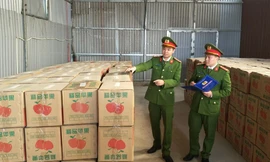 Hà Nội: Bắt giữ gần 7 tấn pháo hoa nổ nguỵ trang trong thùng hoa quả 