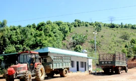 Kon Tum chỉ đạo kiểm tra toàn bộ trạm cân thu mua nông sản