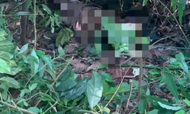 Khu vực người dân phát hiện thi thể nam giới đang phân hủy tại đồi Cao (huyện Thuỷ Nguyên, TP Hải Phòng).