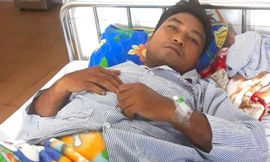 Vừa ngả lưng xuống võng sau khi đi tuần, nhân viên bảo vệ rừng bất ngờ bị tấn công 