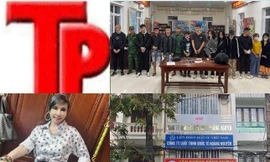 Bản tin Hình sự: Nhân viên công ty đấu giá kết hợp với bạn trai dìm giá đất