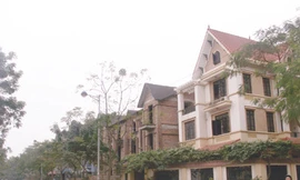 Có nên mua nhà đất vào thời điểm hiện nay?