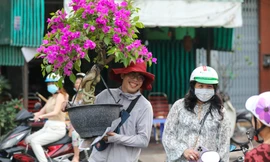 TPHCM và Nam bộ đón năm mới trong thời tiết thuận lợi