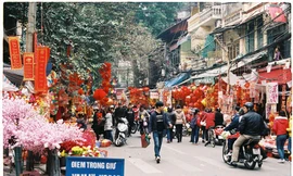 Chợ hoa Hàng Lược, năm nào cũng phải đi chợ hoa để sắm tết.