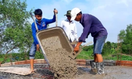 Đất Sen Hồng rực rỡ sắc xuân màu áo xanh tình nguyện