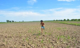 Người miền Tây ngóng mùa nước nổi