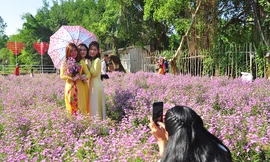 'Đà Lạt thu nhỏ' thu hút giới trẻ Tây Đô