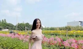 Hoa khôi Thúy Vi khoe sắc vóc gợi cảm bên làng hoa đón Xuân