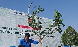 Nhiều hoạt động ý nghĩa Ngày Chủ nhật Xanh ở Cần Thơ
