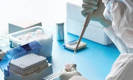 Ảnh minh hoạ: Internet