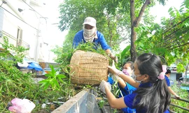 Cần Thơ ra quân chiến dịch tình nguyện hè 2020