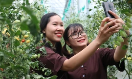 Khởi nghiệp trở thành khát vọng làm giàu trên quê hương Đồng Khởi