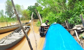 Dân đầu nguồn Đồng Tháp mỏi mòn chờ lũ