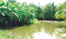 Đất 'quan' đắt hơn đất dân!