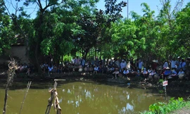 Ao cá - nơi phát hiện xác chết của cháu Thùy. Ảnh: Đại Huệ