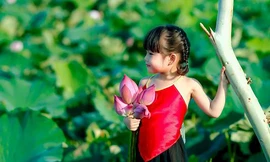 'Siêu mẫu' nhí duyên dáng bên hoa sen