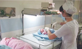 Trẻ sinh non nhẹ cân đang điều trị ở khoa sơ sinh BV Từ Dũ	Ảnh: Lê Nguyễn