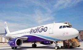 IndiGo hiện chiếm 49% thị phần mạng đường bay nội địa của Ấn Độ.